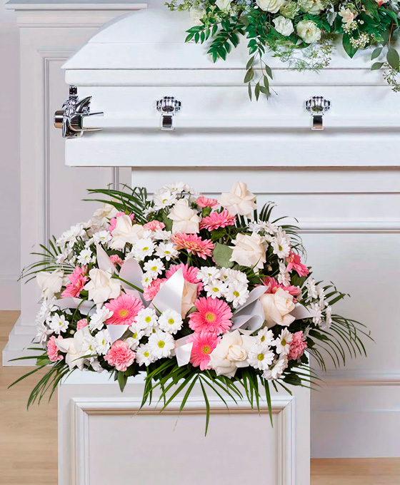 Centro de 12 Rosas y Margaritas para Difuntos en Hospitalet Servicio de Envío Urgente en Hospitalet