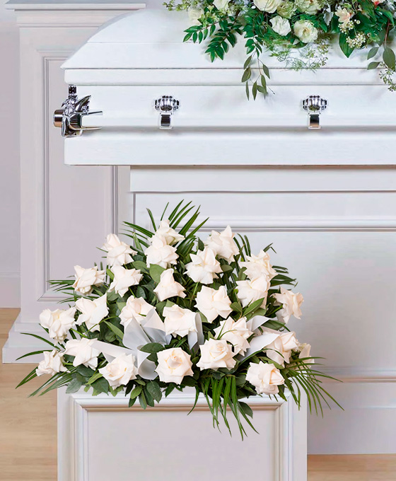 Rosas Blancas en Centro Funerario en Hospitalet Envío de Flores urgente en Hospitalet, Centro condolencias para difuntos