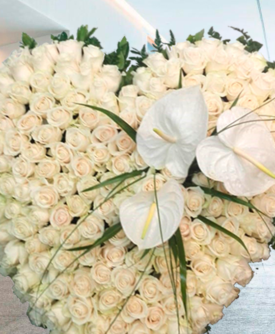 Corazón Defunción en Hospitalet de Llobregat